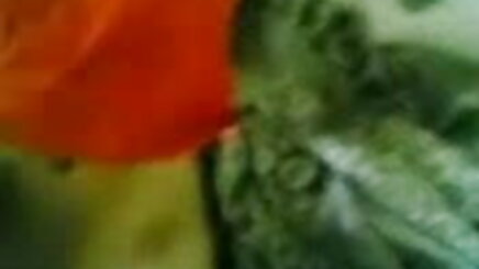 ব্যক্তিগত সিরিজ 1: ম্যাসেজ সেক্সি বাসর রাতের সেক্স ভিডিও বাড়ে